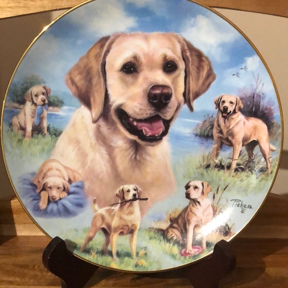 2for$20🟠Decorative Dog Plate with Labrador Design
